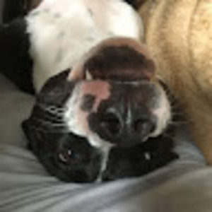 Meet your Posher, Tess